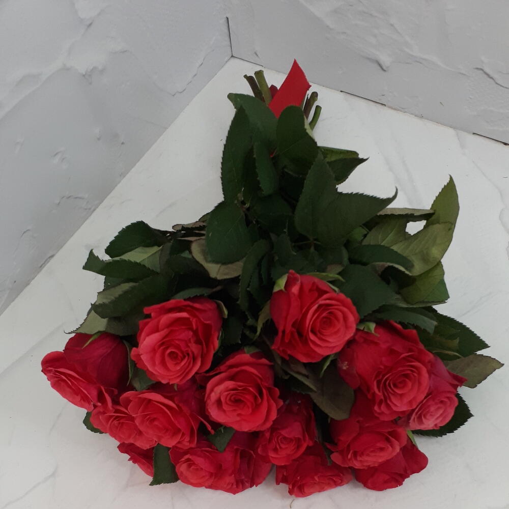 Роза Кения