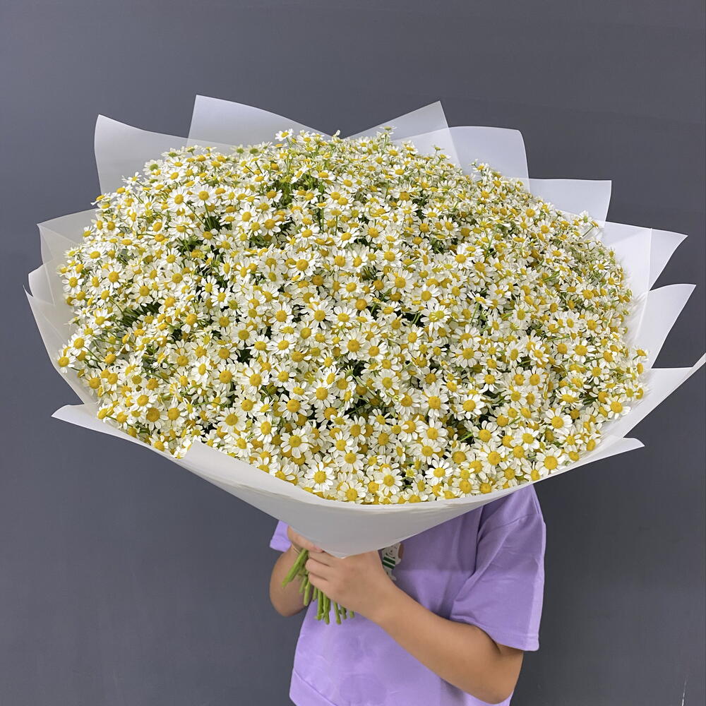 Ромашка кустовая 45