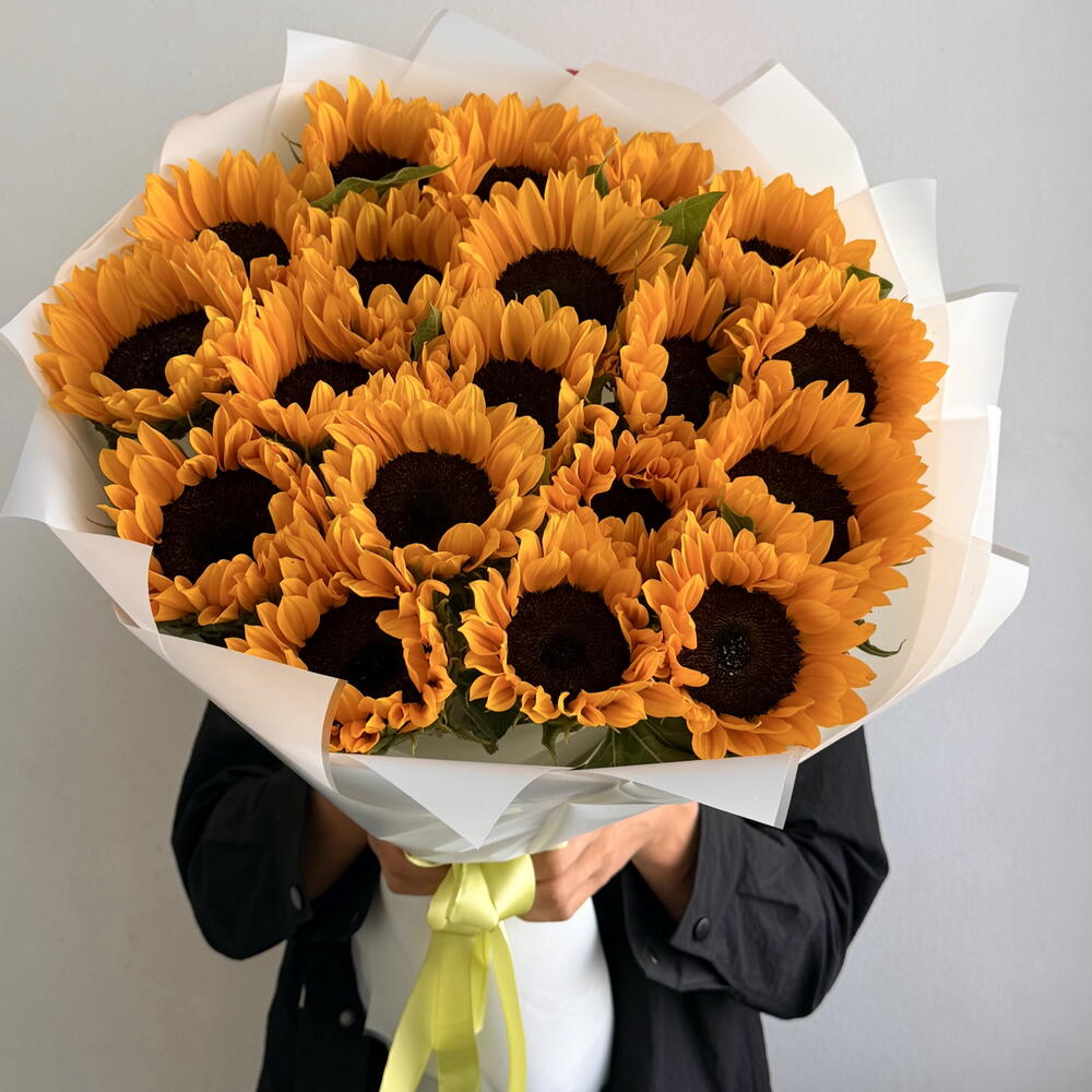 Подсолнухи 🌻