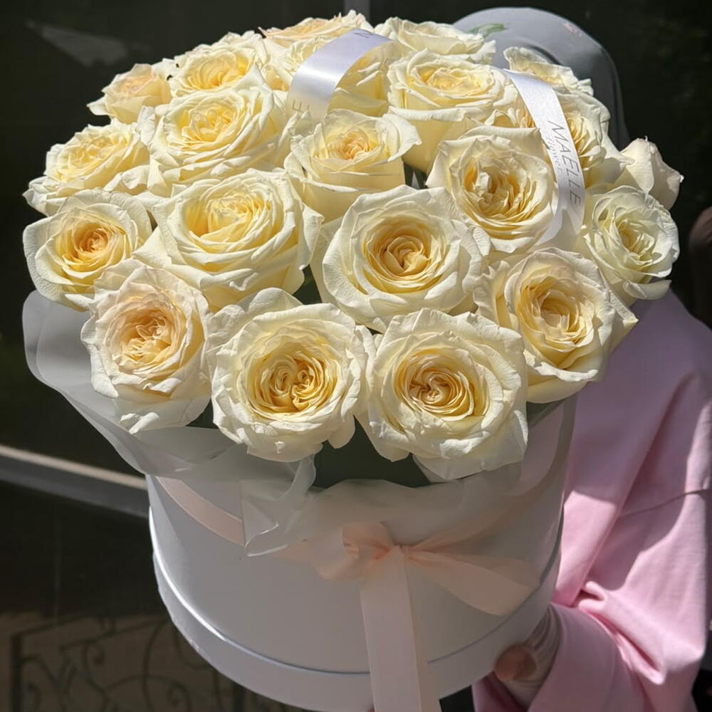 Creme Elegance