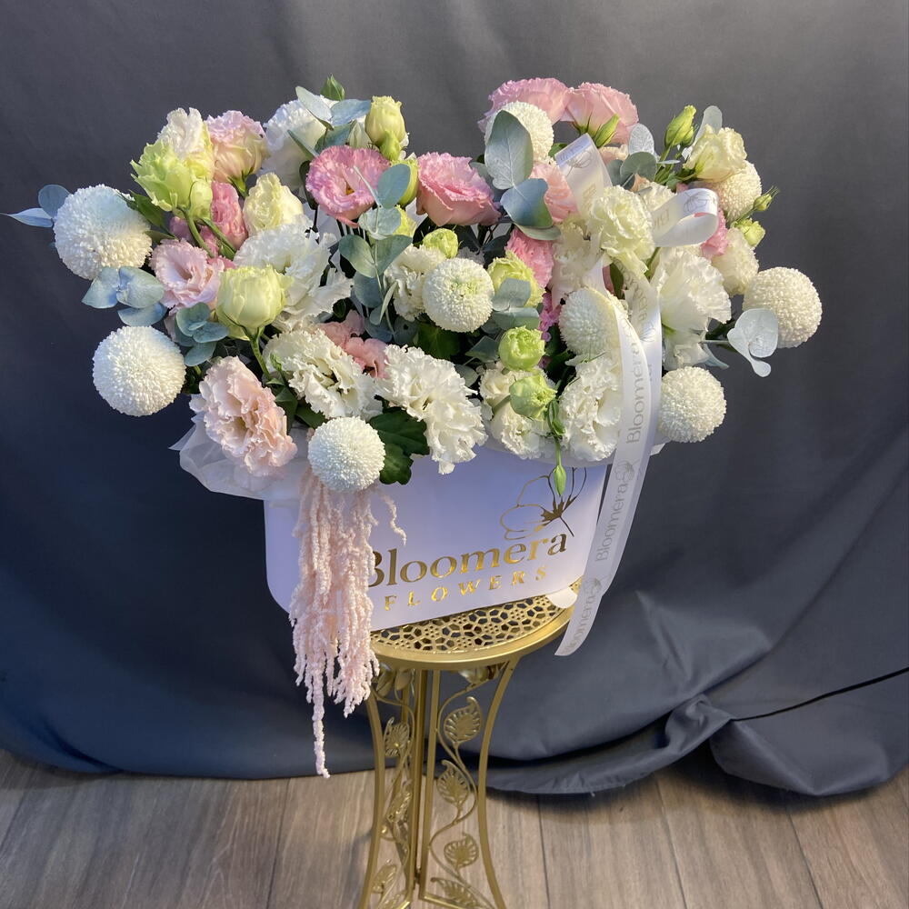 Микс Дайсон коробка