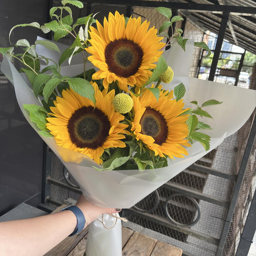 Букет солнечных подсолнухов 🌻