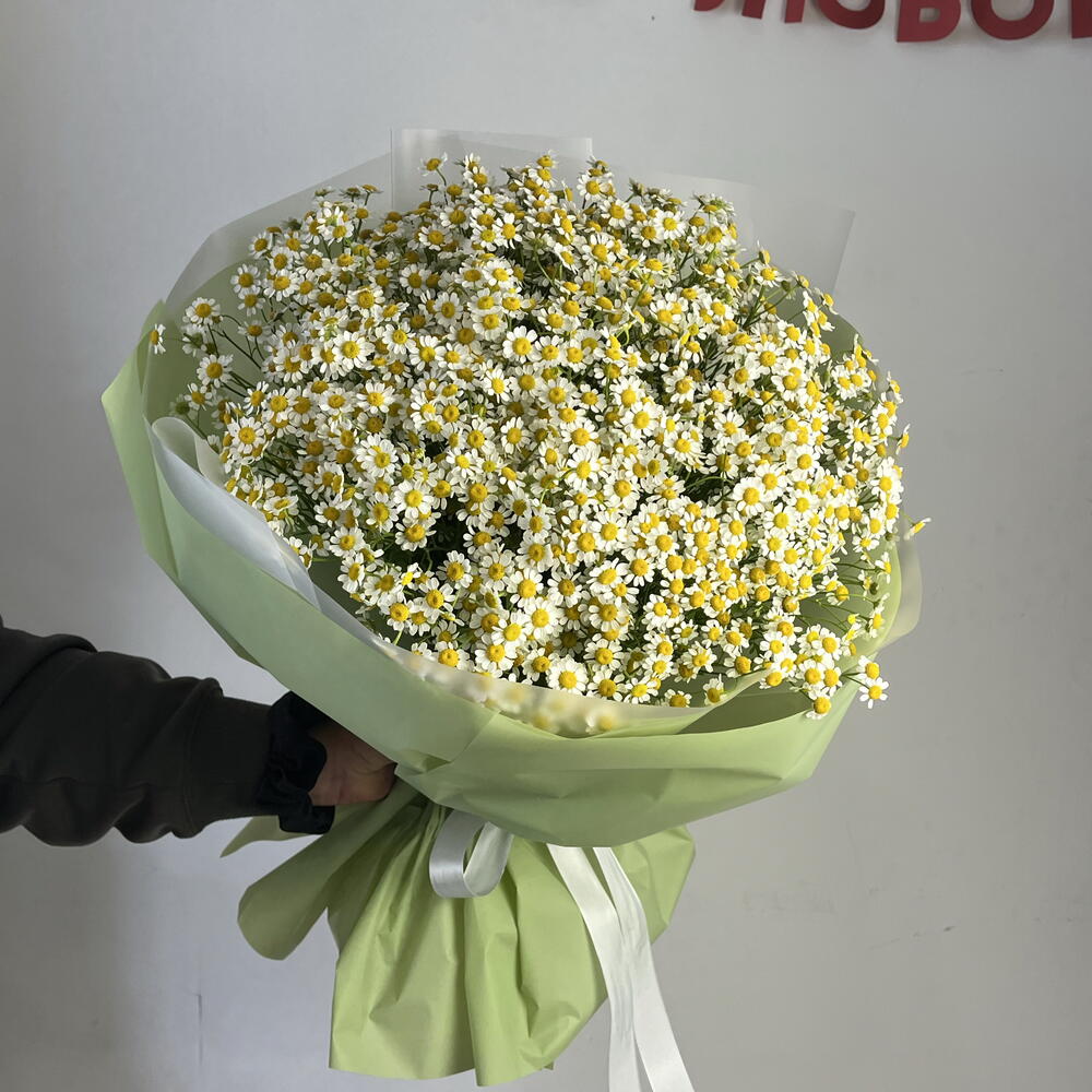 Букет «25 ромашек»