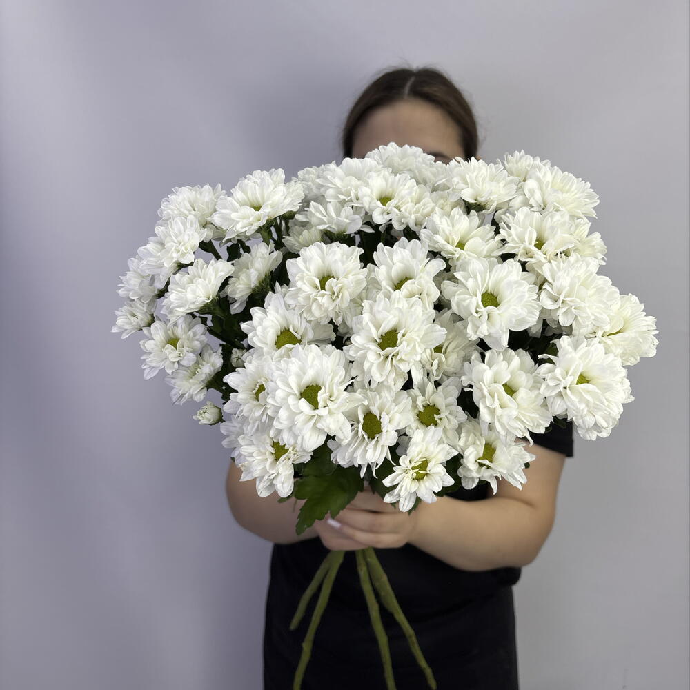Акция! 5 белых ромашек