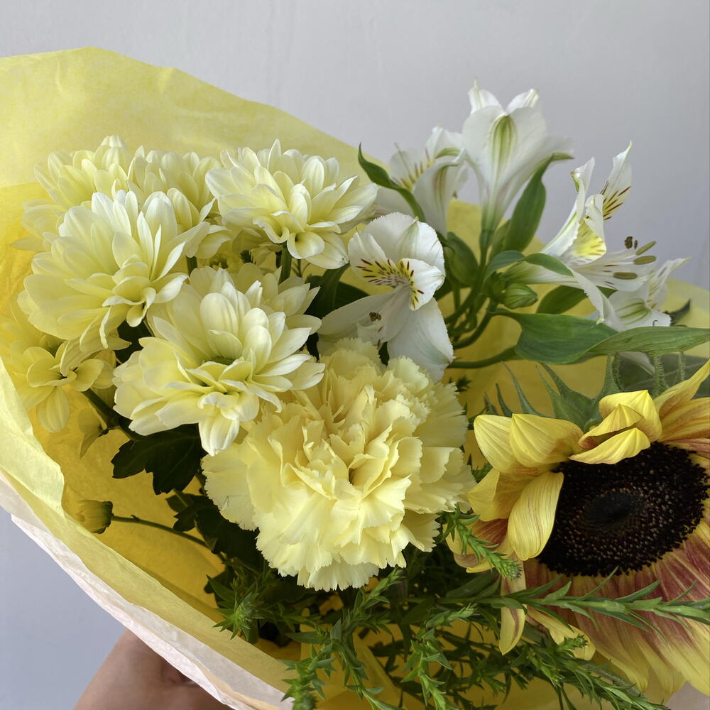 Солнечный привет 🌻️️