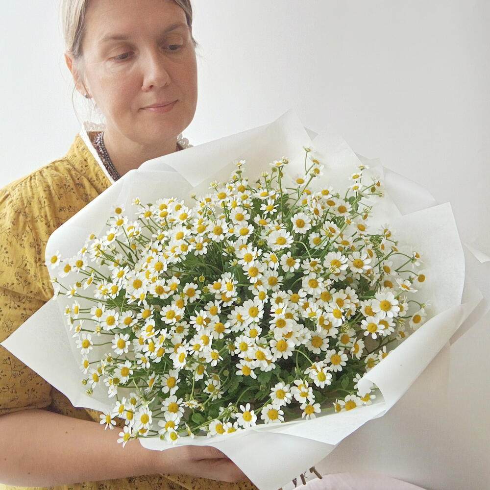 Охапка ромашек