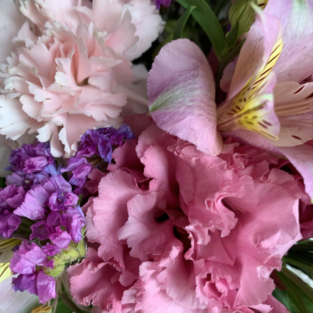 Стаканчик с сезонной эустомой🌸