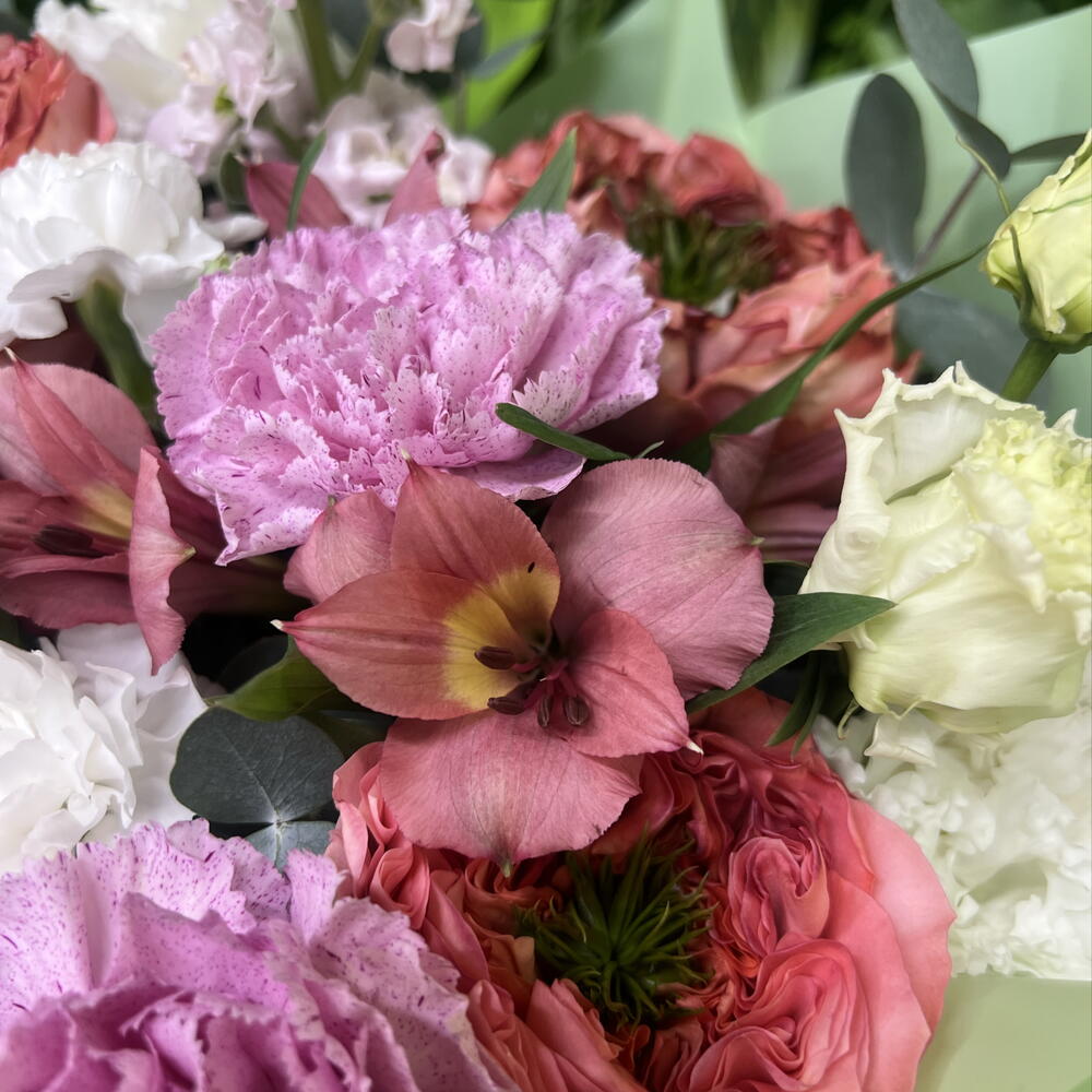 Благоухание🌺
