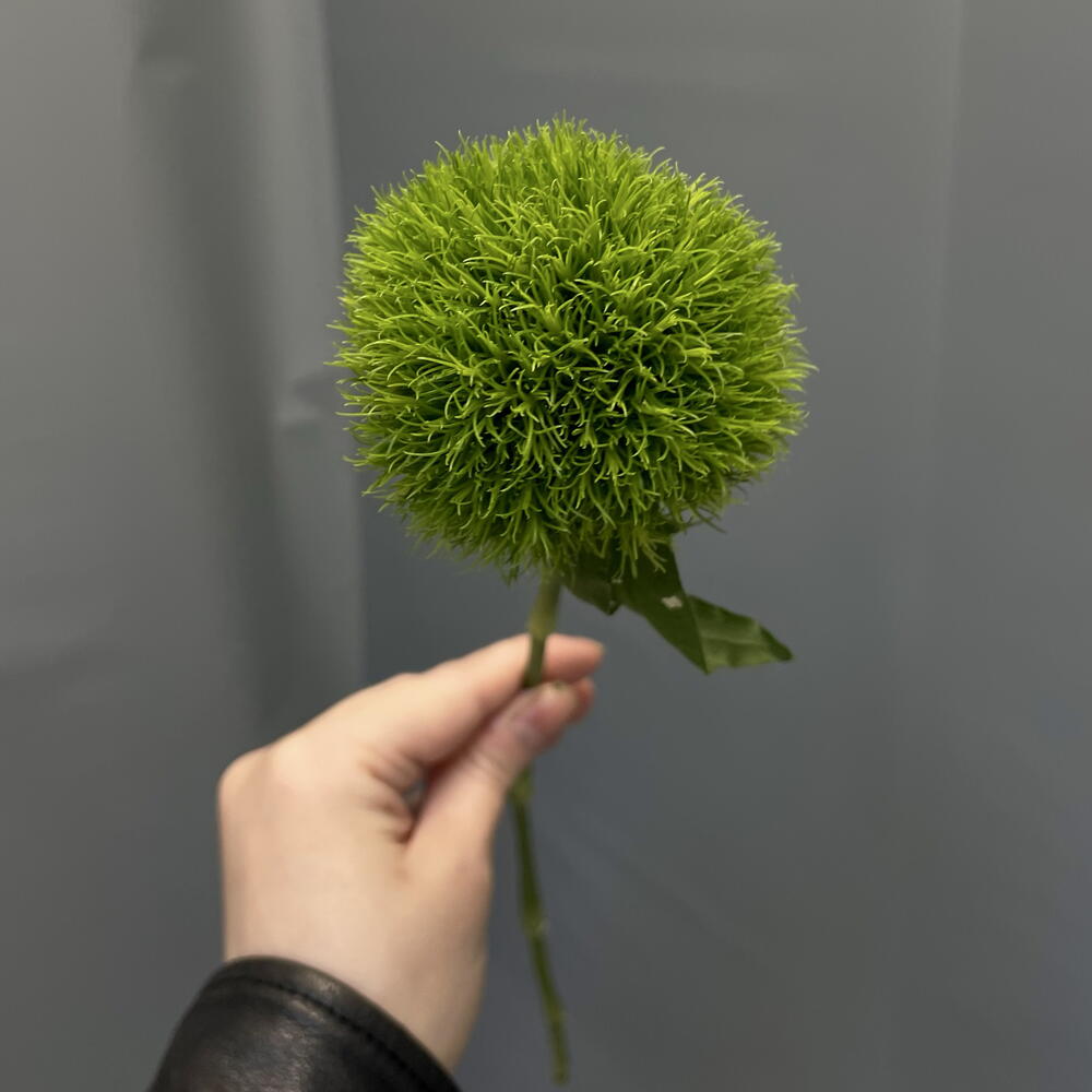 Гвоздика «Green Trick»