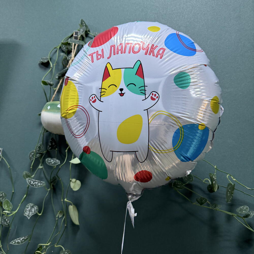 Шар «ты лапочка»