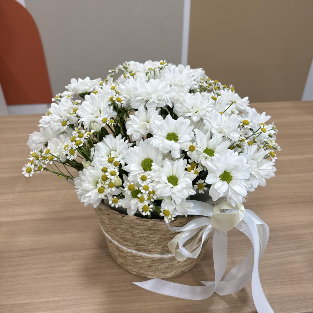Ромашковое поле «композиция с ромашками»