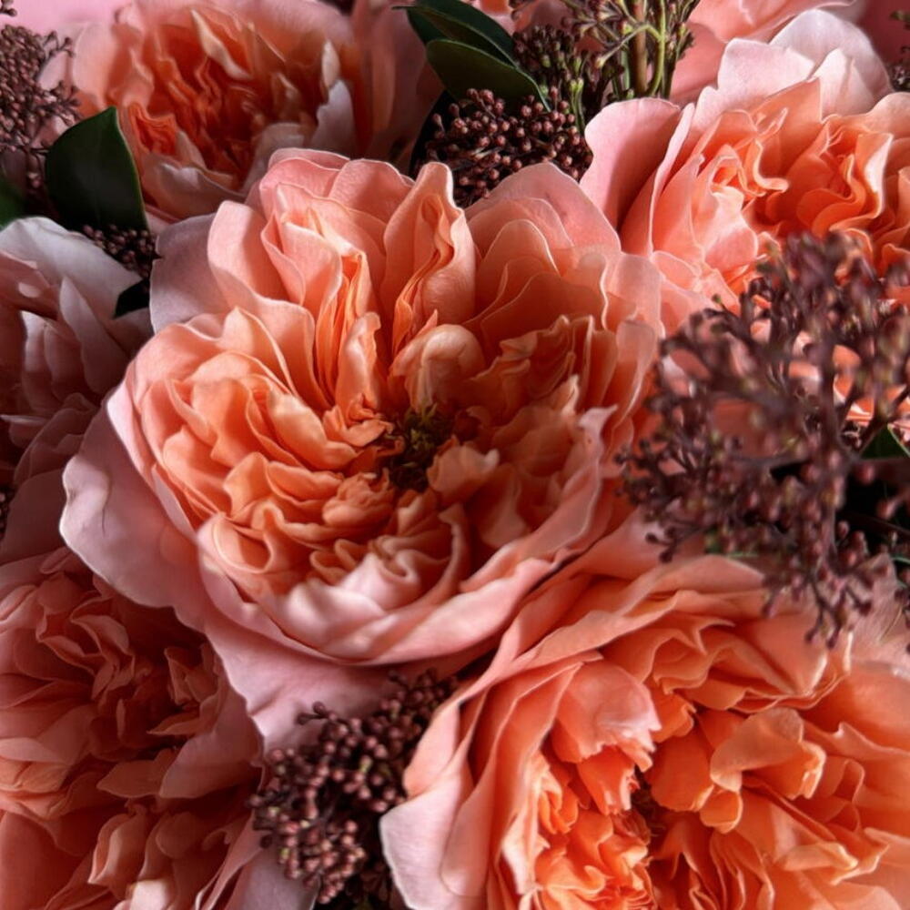 Яркий букет из экзотических пионовидных роз и пышной скиммии