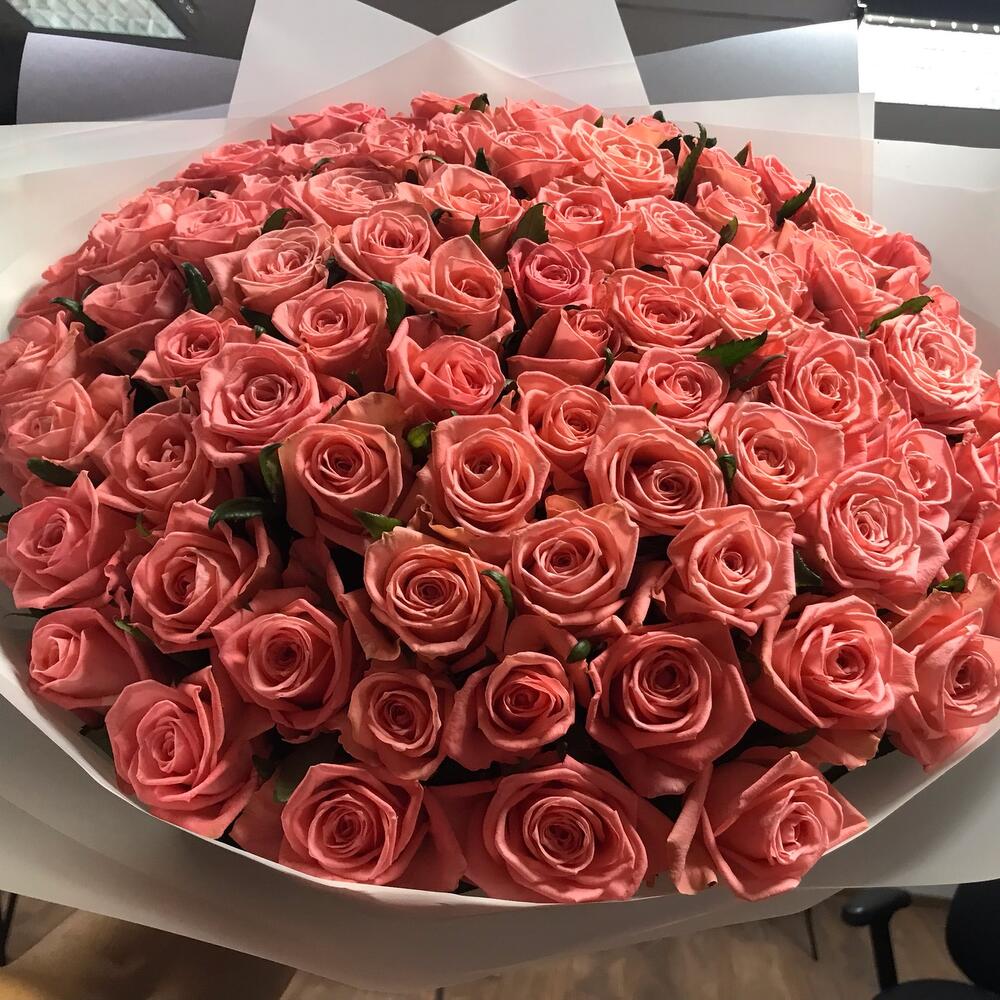 Роза 🌹