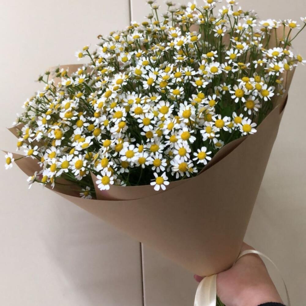 Bouquet of "daisies"