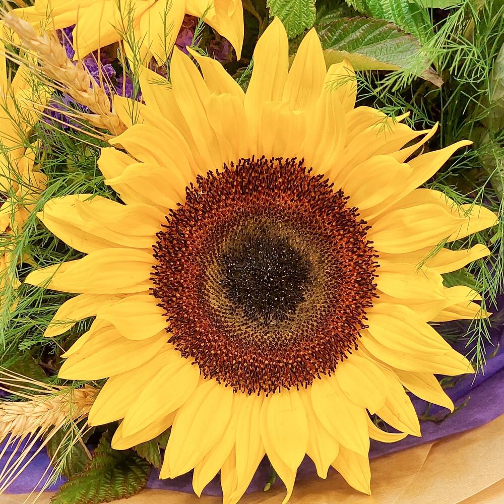 Яркий букет с подсолнухами и пшеницей, Цветы и подарки в Электростали ...