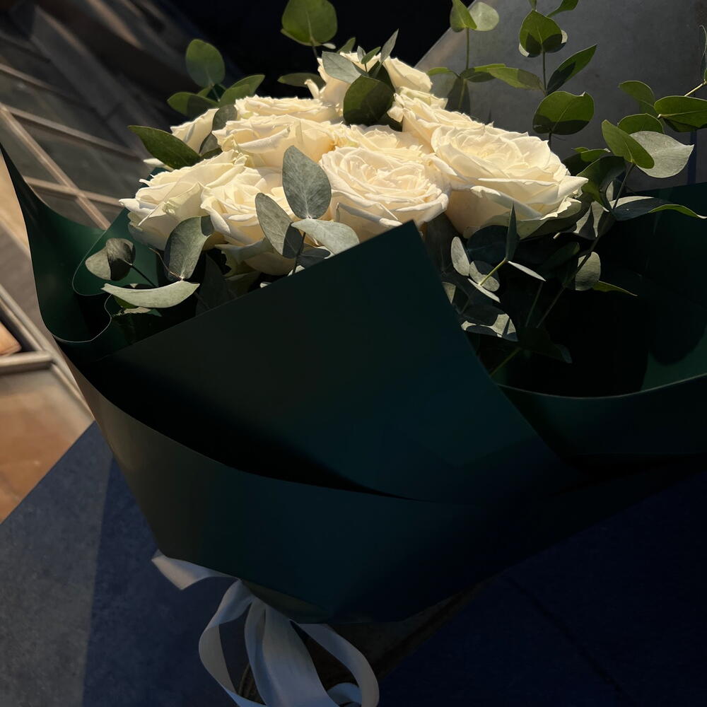 White rose 🤍