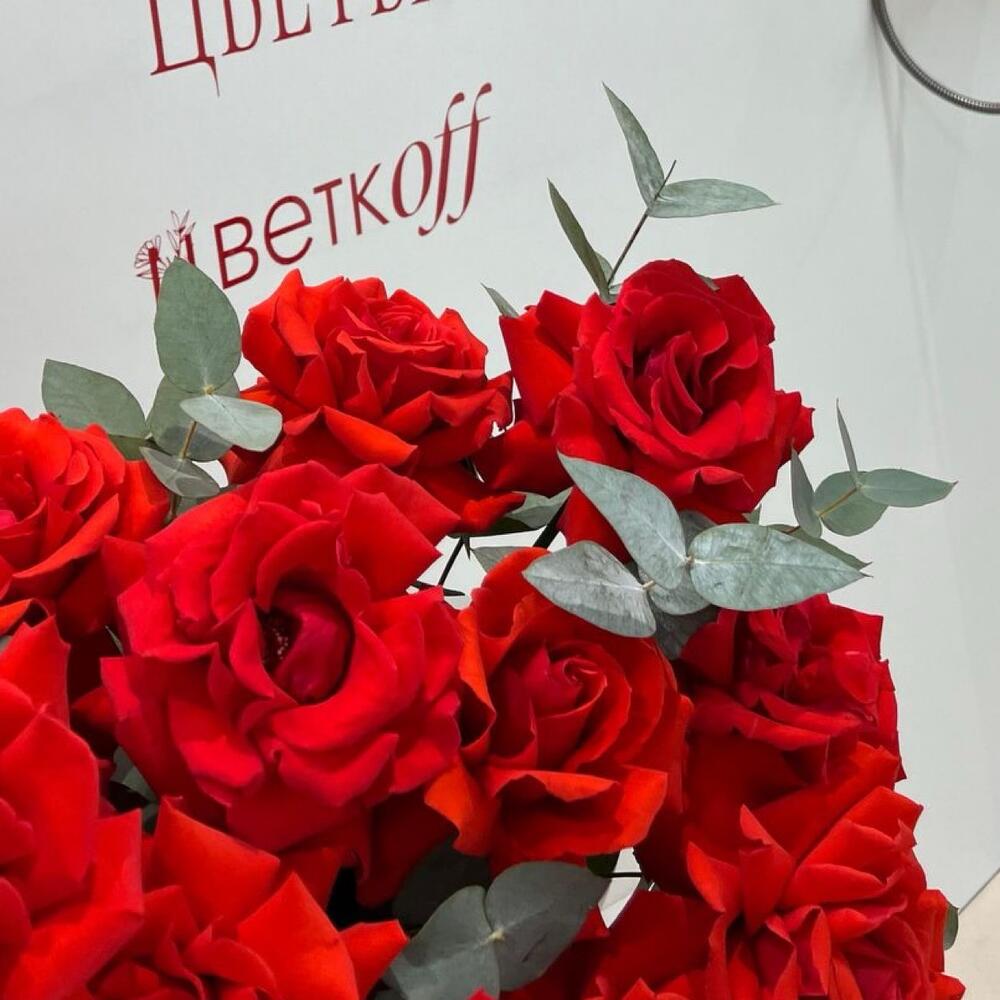 Французская красная Роза с эвкалиптом  в коробке