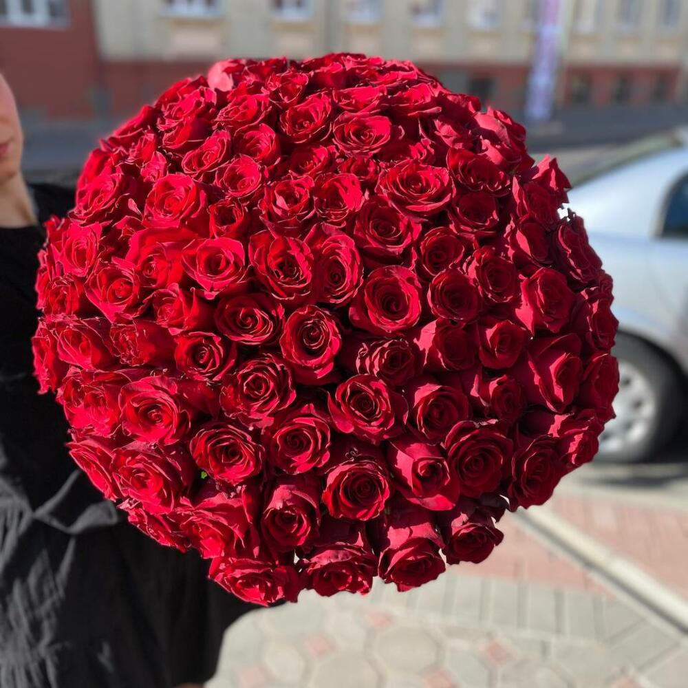 101 премиальная роза Эквадор