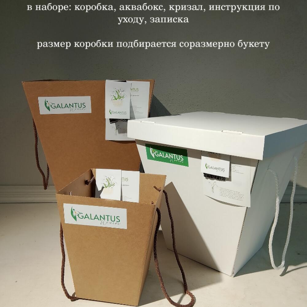 Букет красный роз 51 роза Ред Наоми (М0014)