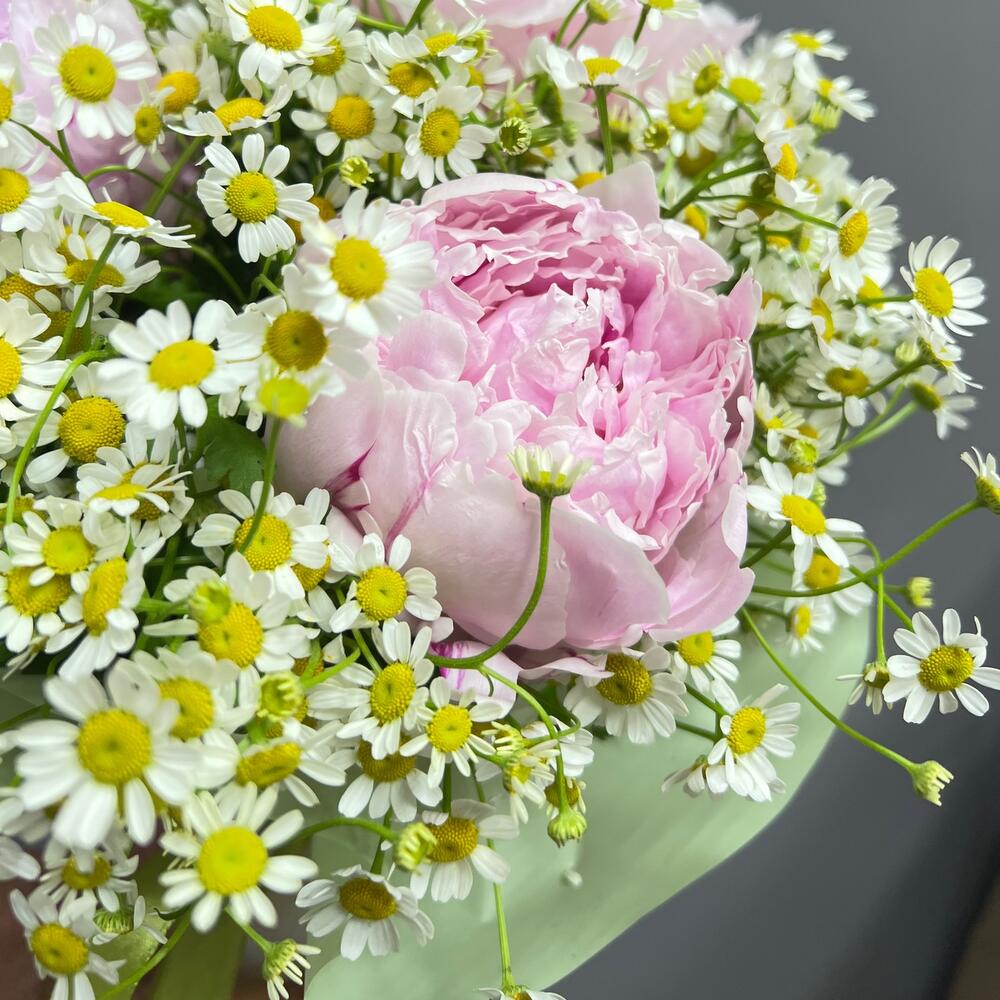 Пионы с ромашками в шляпной коробке (0006) peony