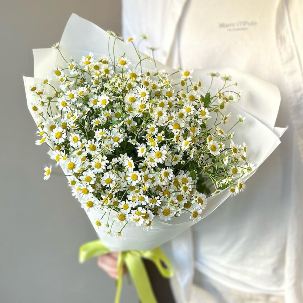 Очаровательный букет ромашек 🌼