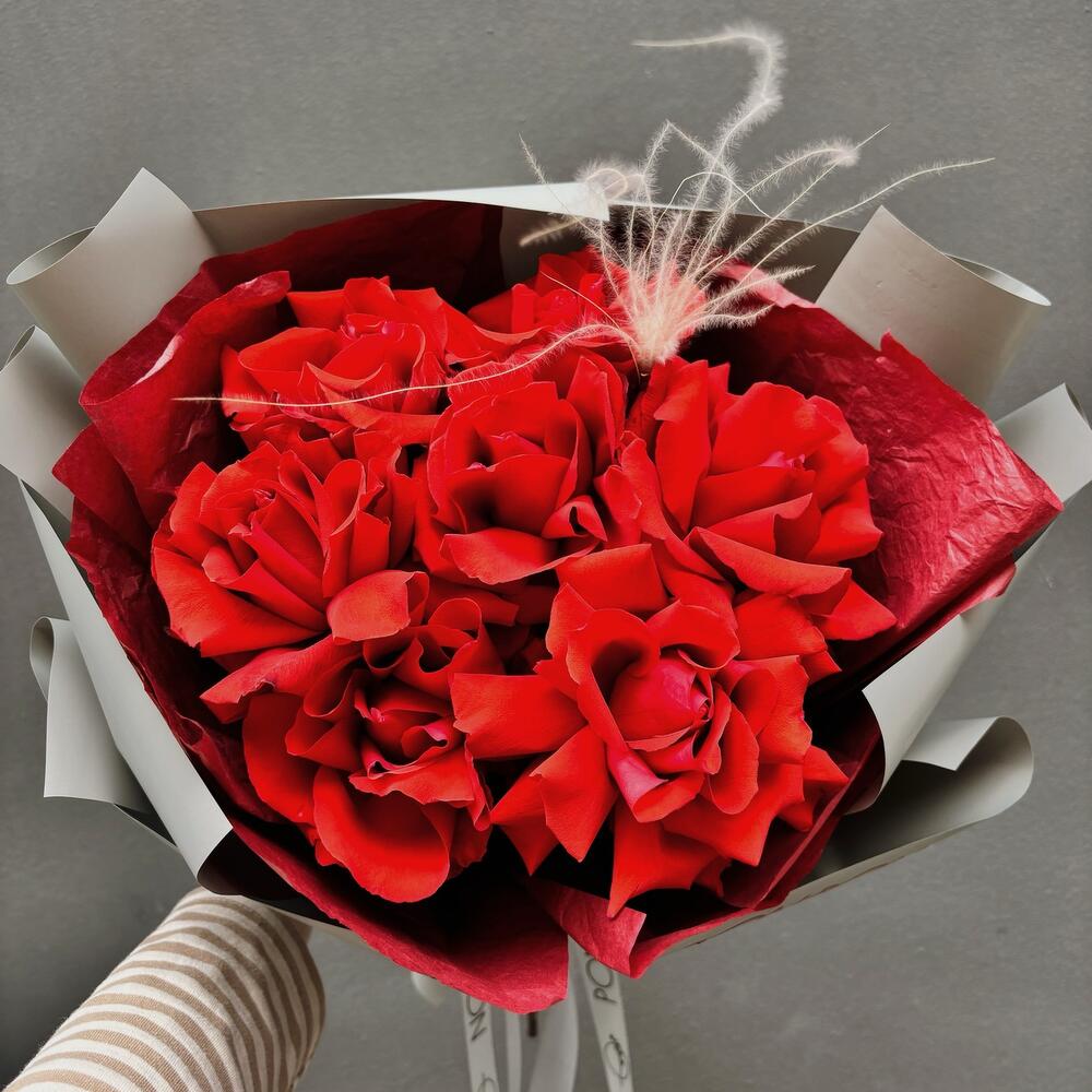 Red roses/Red roses