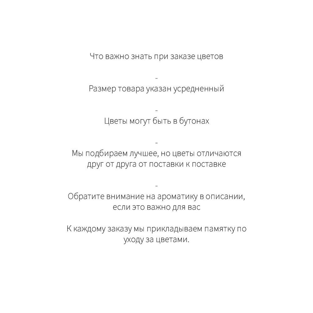 Моно букет «Растим». Белый тюльпан (M)