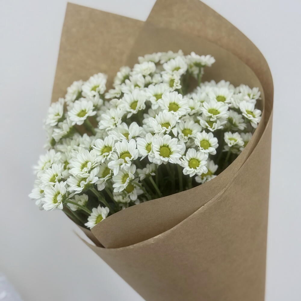 5 кустовых ромашек в крафте