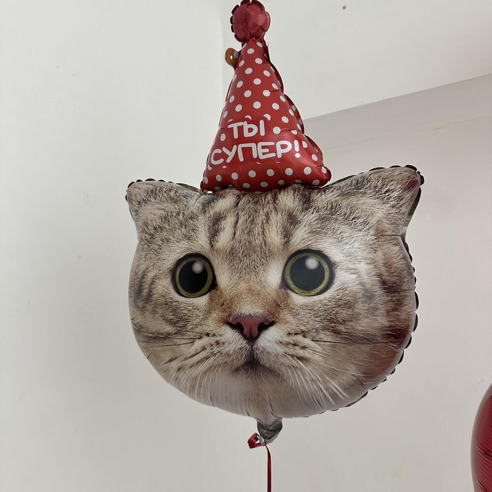 Шарики сердечки и котик