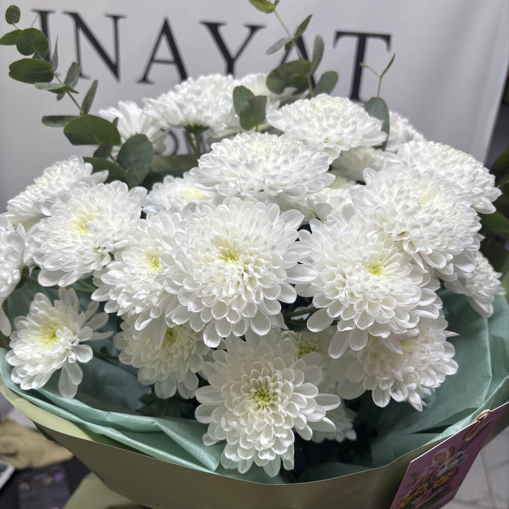 white bush chrysanthemum