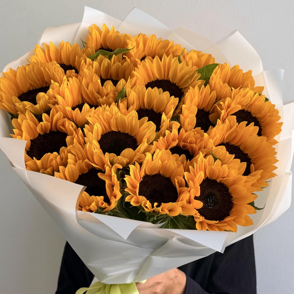 Подсолнухи 🌻