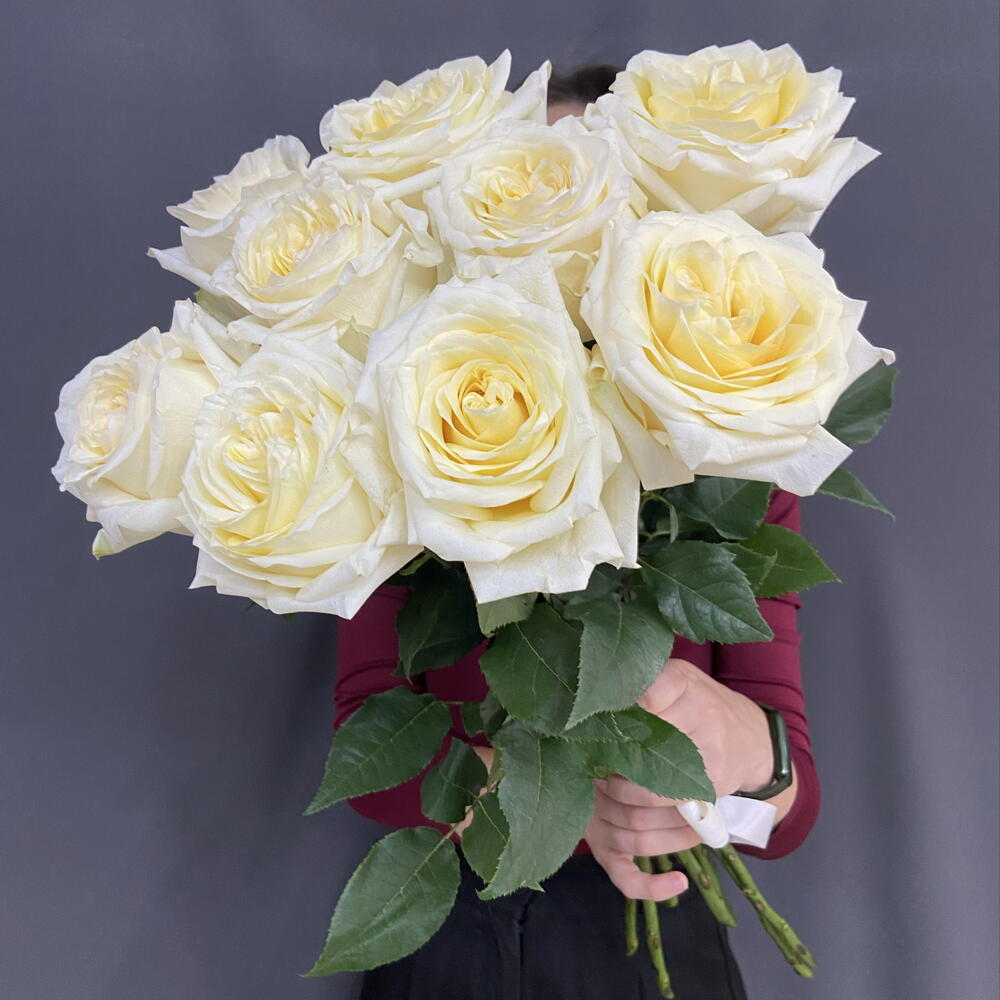 Роза Candlelitht. 9 роз