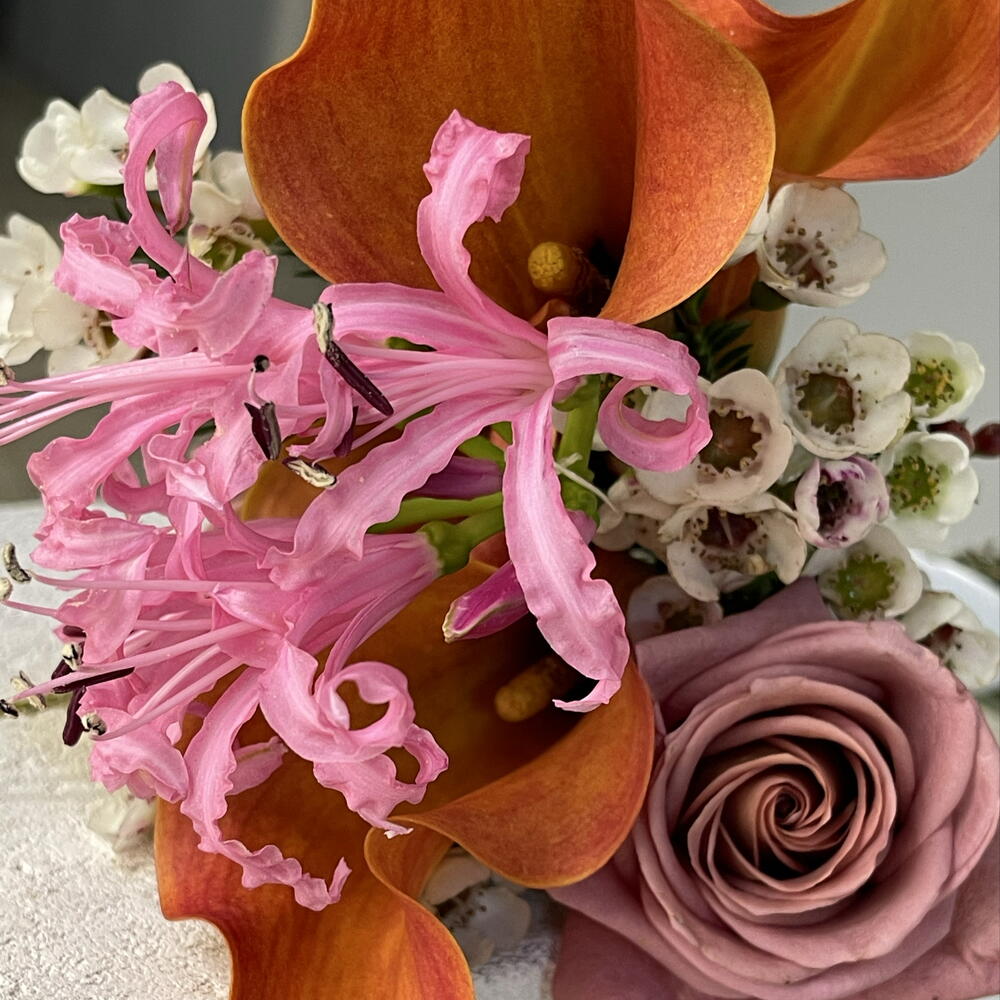 WEDDING BRIGHT дофаминовый букет невесты с каллами, кофейными розами и хамелациумом