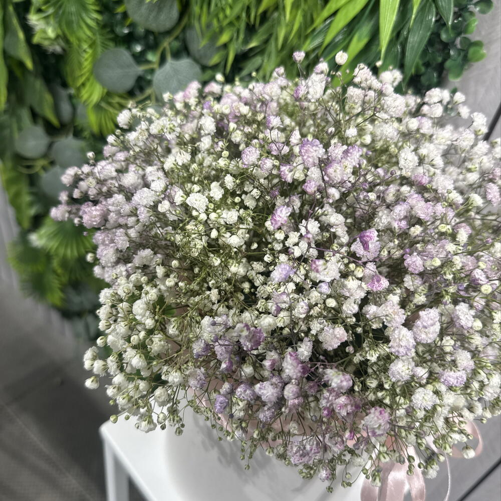 Композиция из гипсофилы 05003