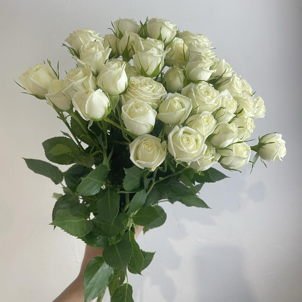 Кустовые розы белые