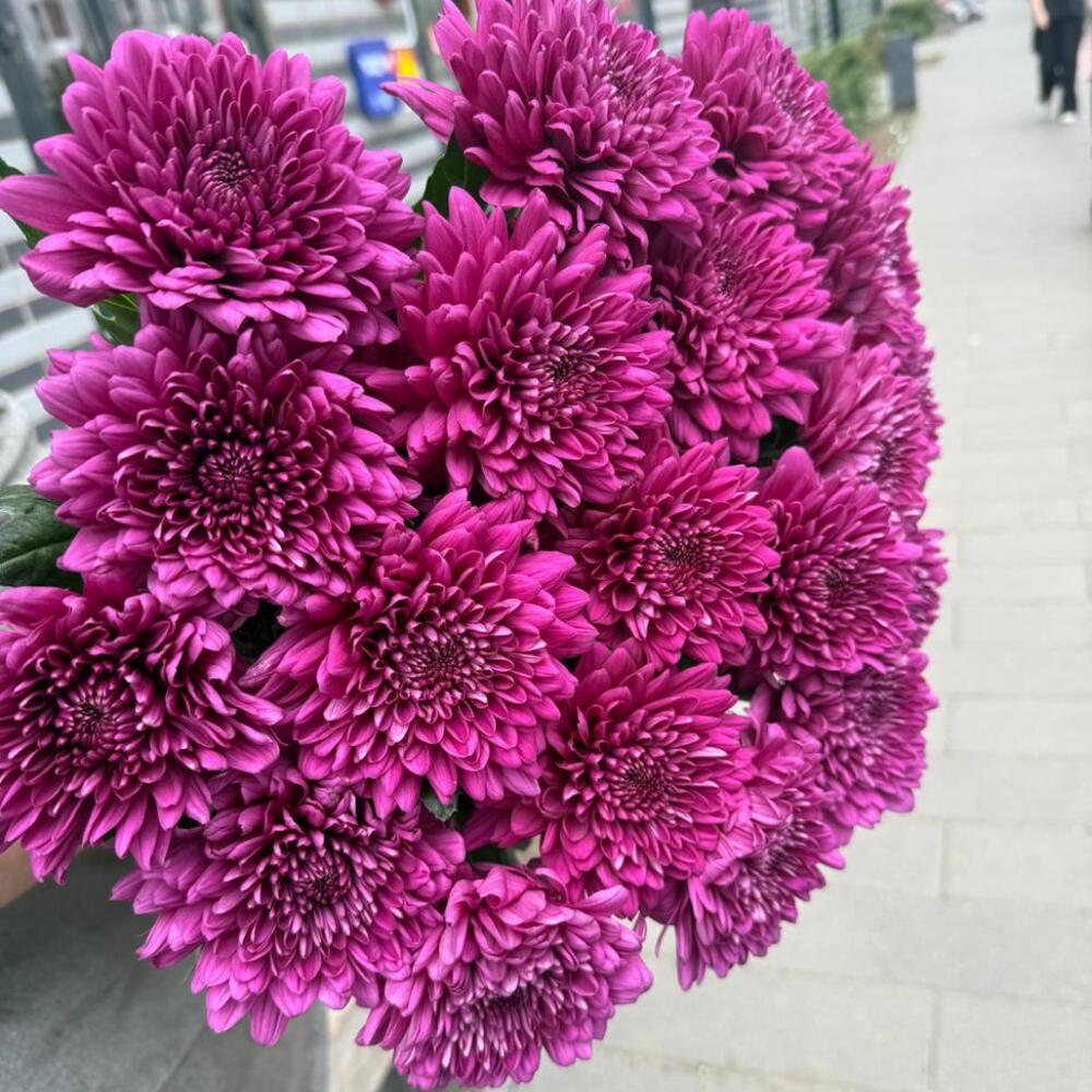 Букет ламир