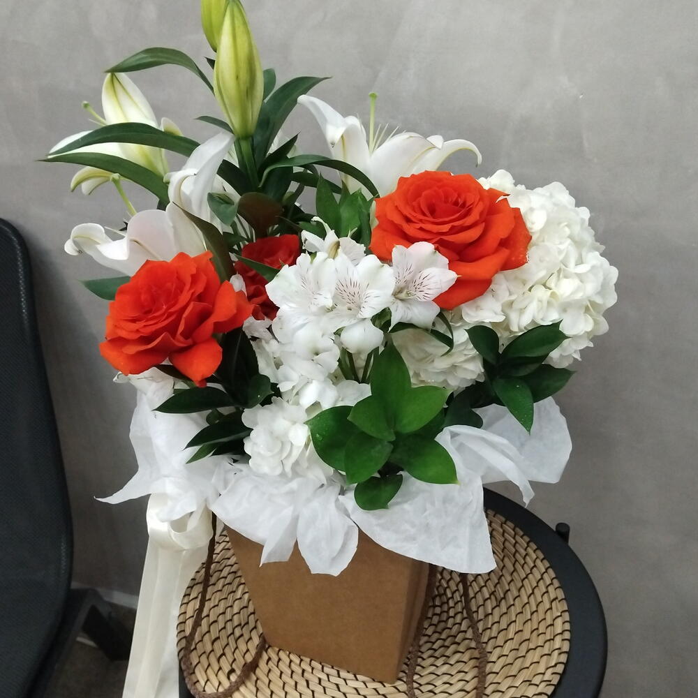 Изабелла