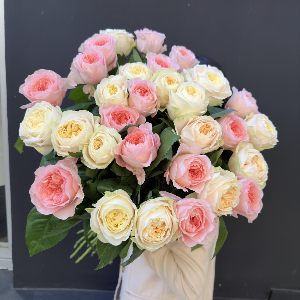 Roses like peonies