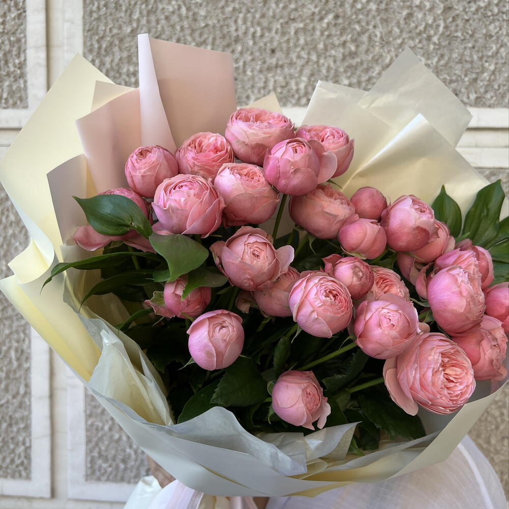 моно пионовидной кустовой розы 🌸