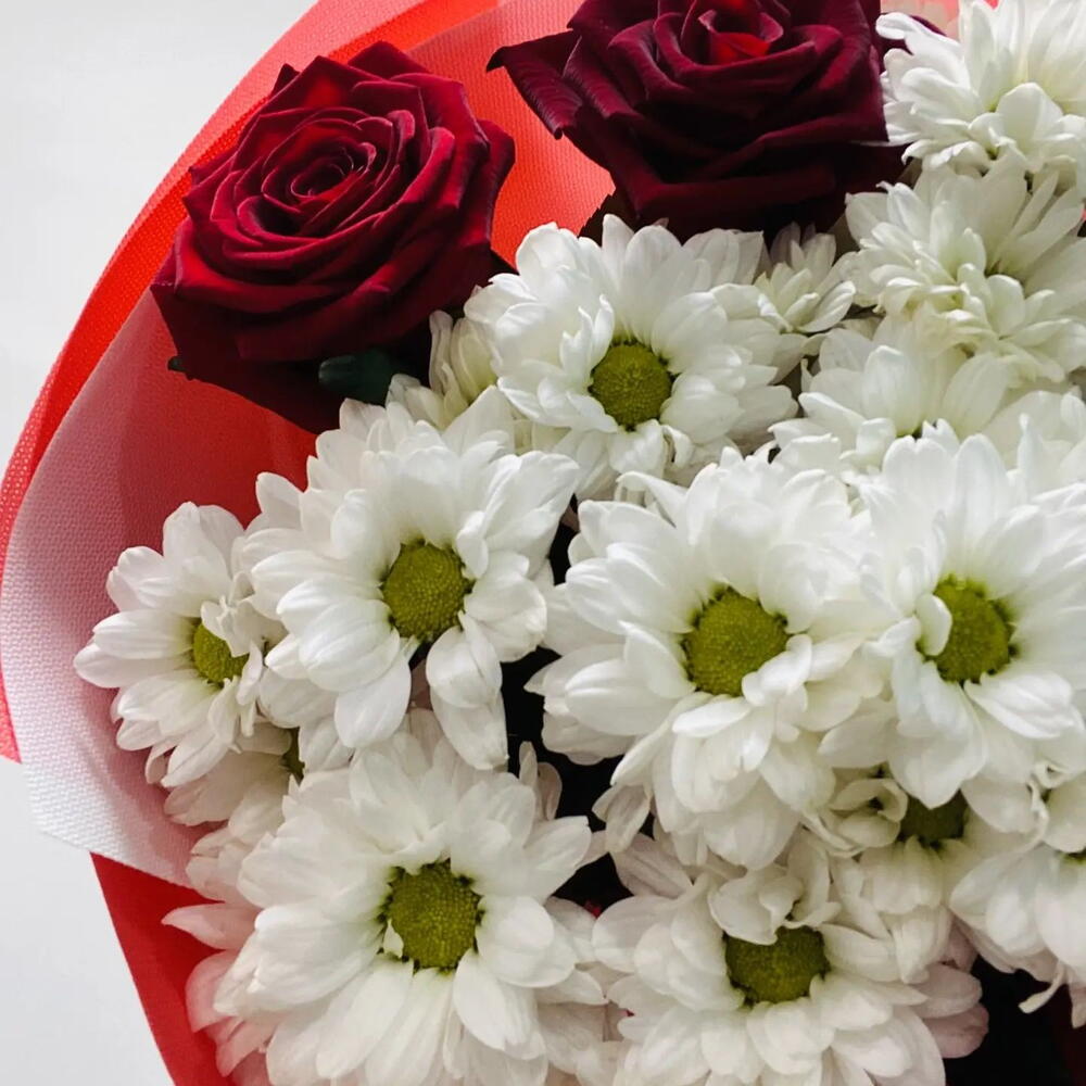 Ромашки и розы🌹