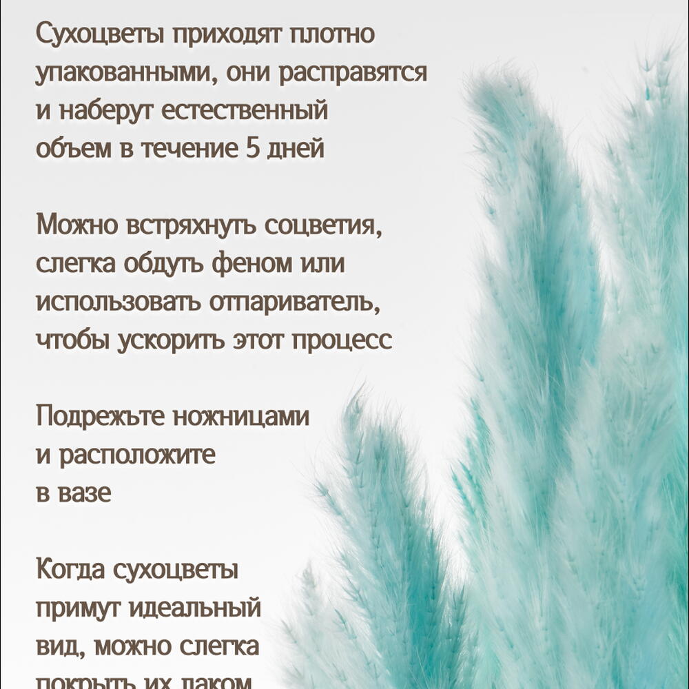 Пампас мини светло-бирюзовый 45 шт. Высший сорт М273