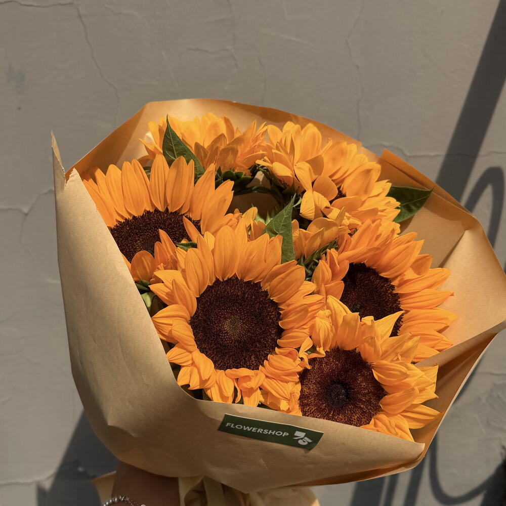 Sunflower season