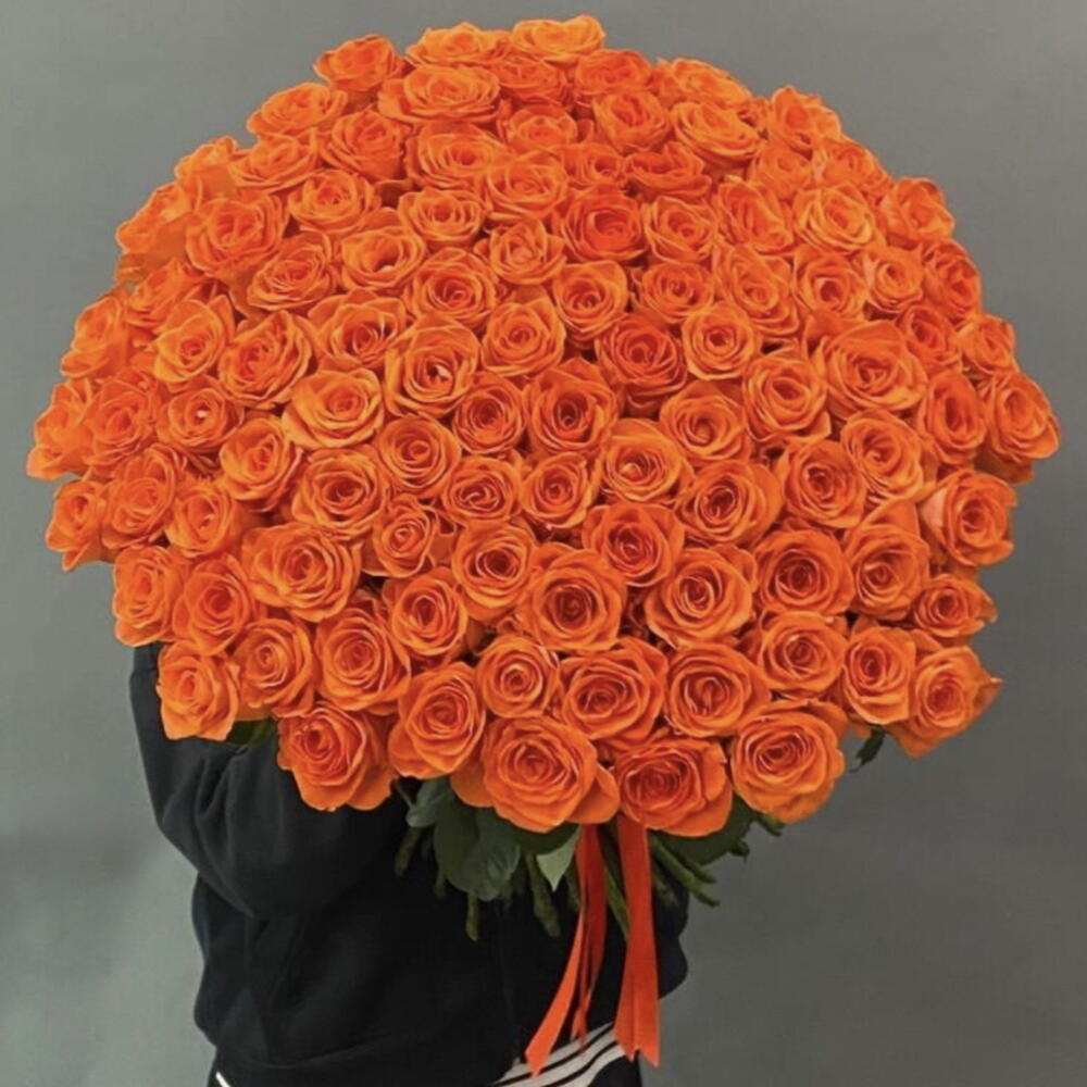 101 rosa