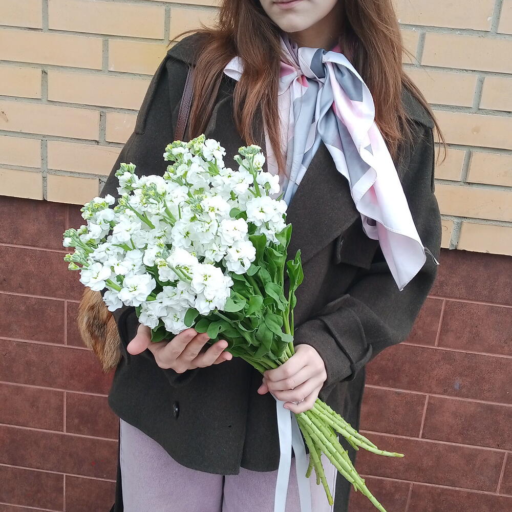 Маттиола