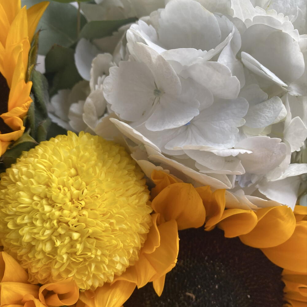 🤍 Солнце в облаках 4. 🌻 Золотое настроени