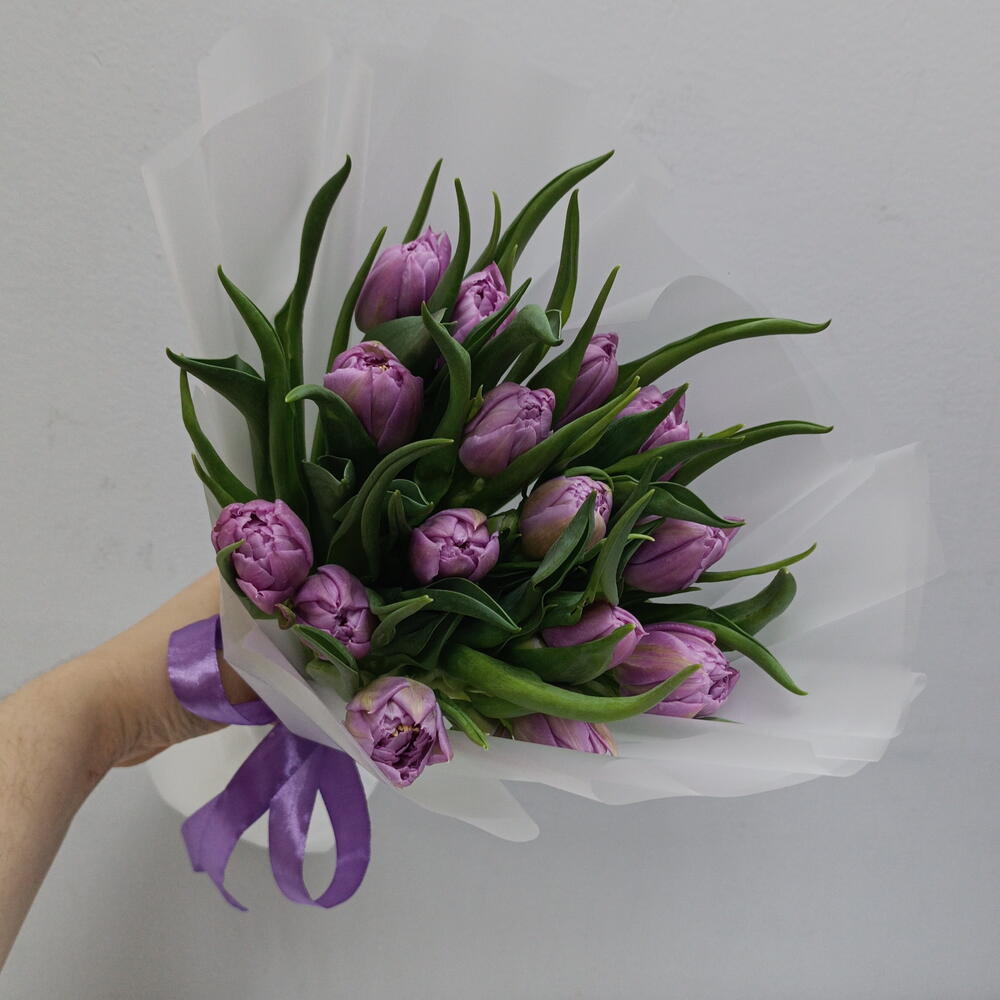 🌷Тюльпаны