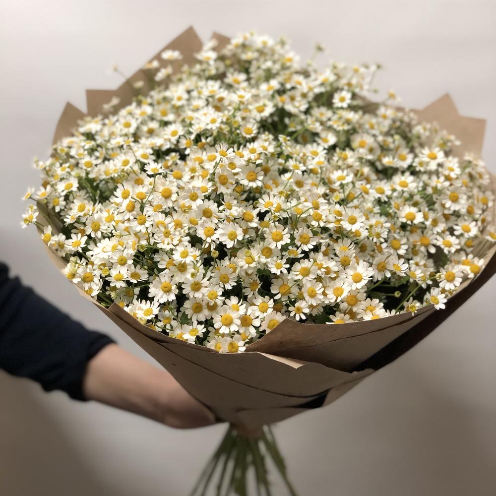 Букет ромашек
