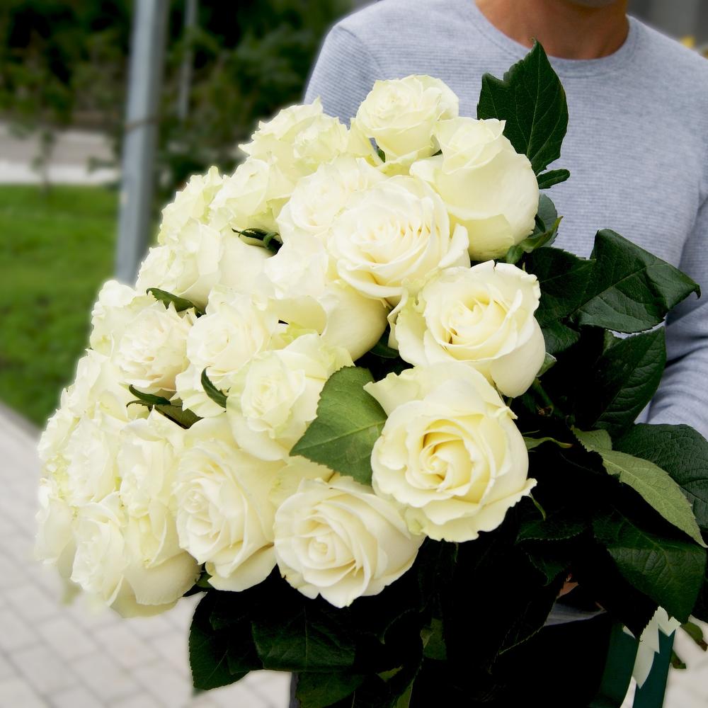 25роз