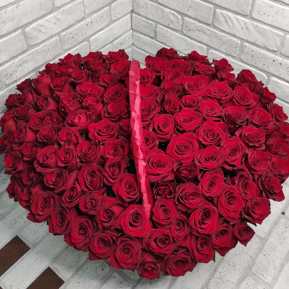 101 красная роза