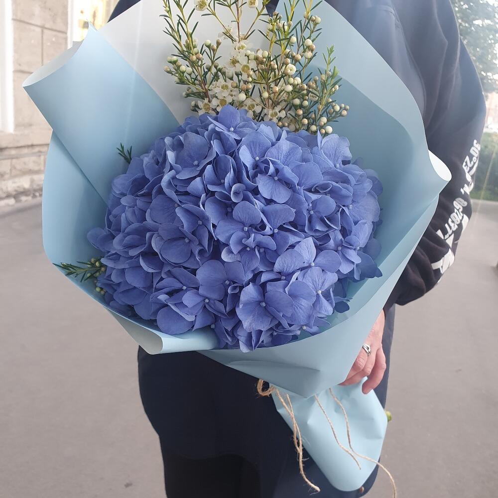 Букет с гортензией и ваксфлауэр 💙 (арт.025)